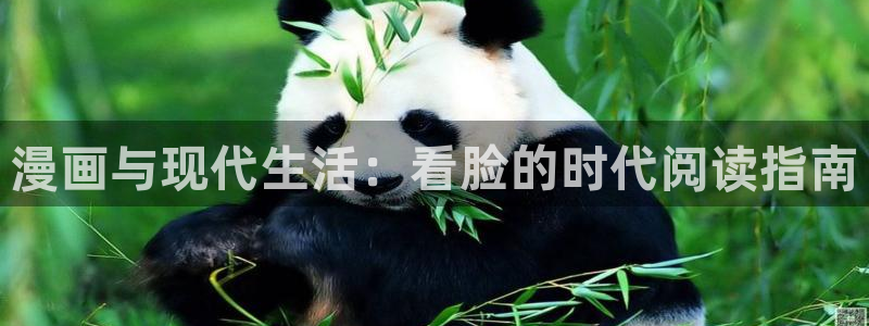 掌中之物漫画奇漫屋：漫画与现代生活：看脸的时代阅读指南