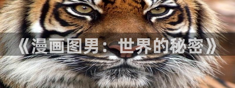 奇漫屋画官方-漫画下拉式：《漫画图男：世界的秘密》