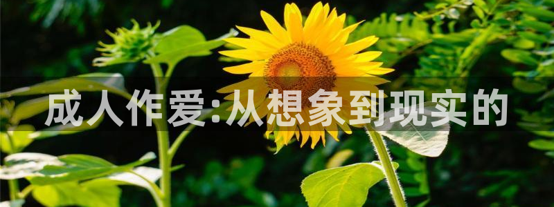养敌为患漫画奇漫屋：成人作爱:从想象到现实的