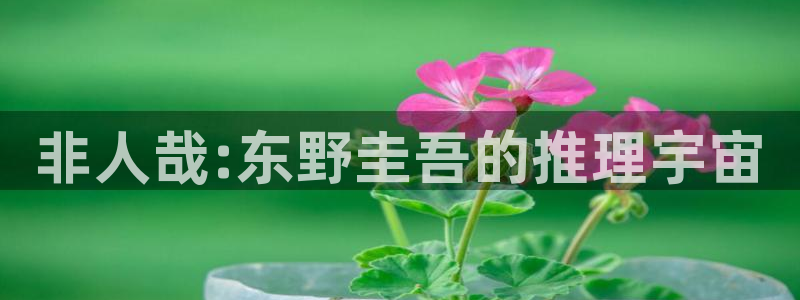 国民校草是女生奇漫屋：非人哉:东野圭吾的推理宇宙
